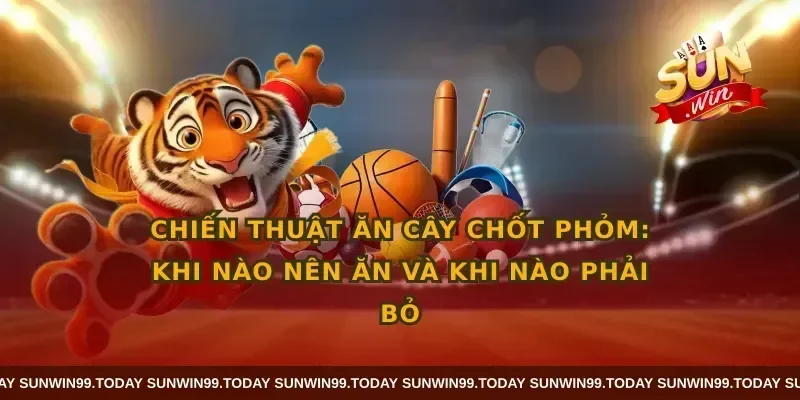 Chiến thuật ăn cây chốt phỏm: Khi nào nên ăn và khi nào phải bỏ